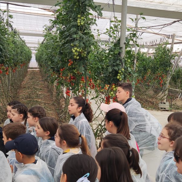 Visita a la empresa hortofrutícola UNICA. 4º EPO