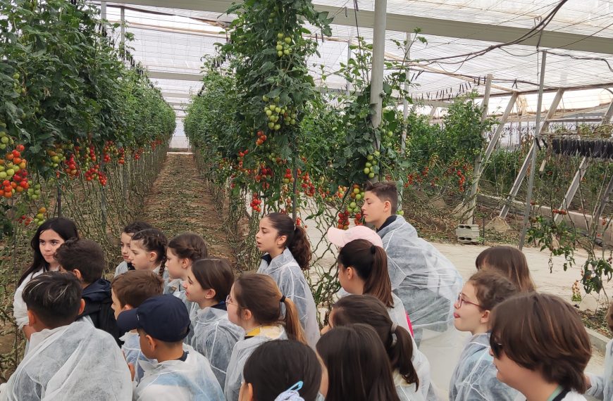 Visita a la empresa hortofrutícola UNICA. 4º EPO