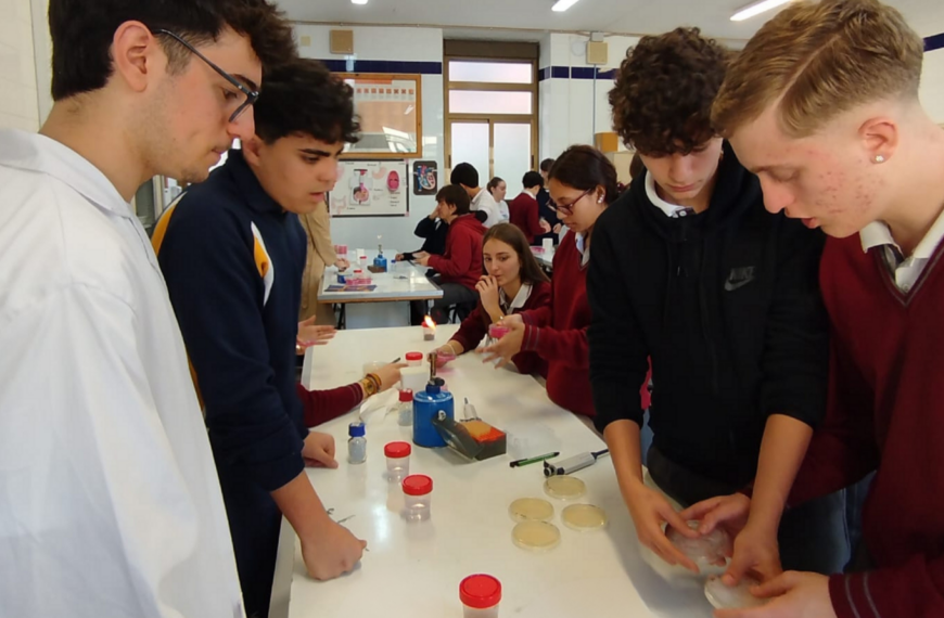 Nuestros alumnos de 4º de ESO se convierten en «cazadores de antibióticos» con el proyecto MicroMundo